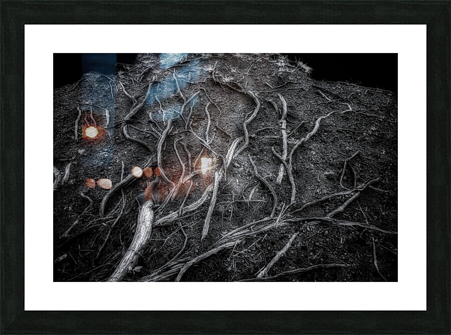 Veins of the Earth Picture Frame print