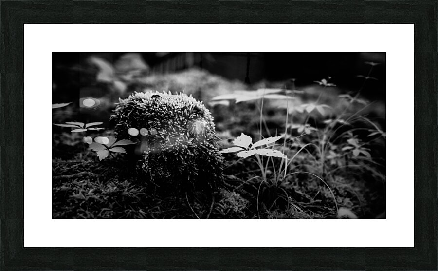 Mossy Whispers Picture Frame print