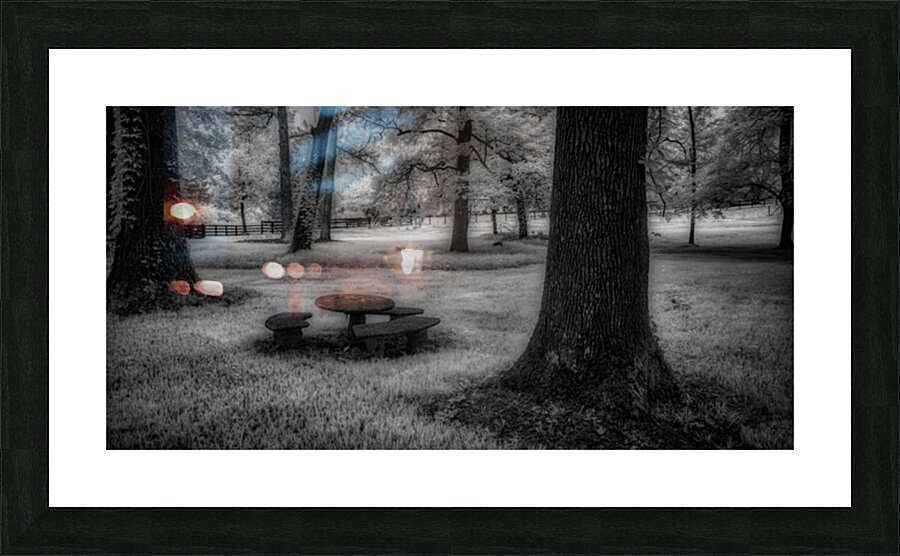 Picnic in Shadows Picture Frame print