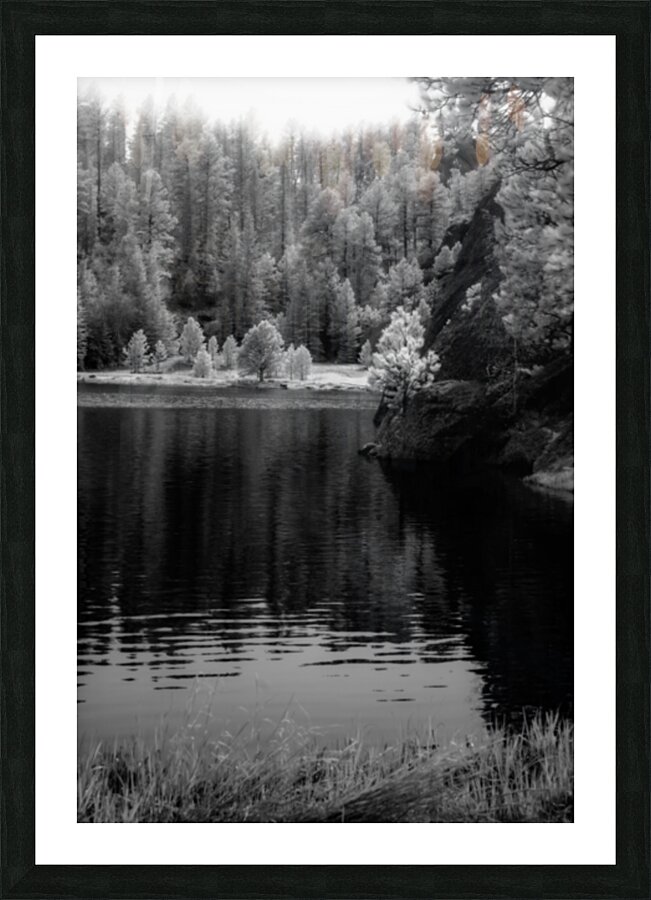 Enchanting Haze: Hazy Pines in Infrared at Sylvan Lake South Dakota Impression et Cadre photo