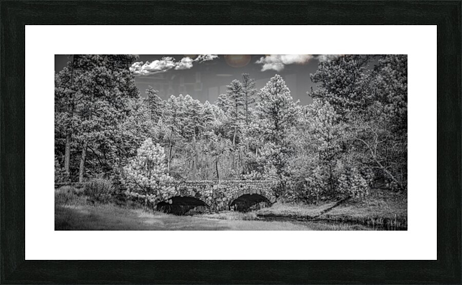 Discovering Hidden Charms: Stone Archway Bridge Unveiled in Custer State Park Picture Frame print