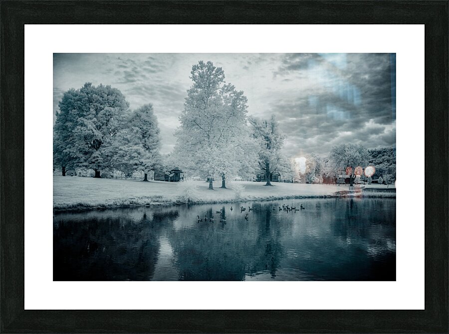 Silent Sentinels: Stonewalls Childhood Trees Impression et Cadre photo