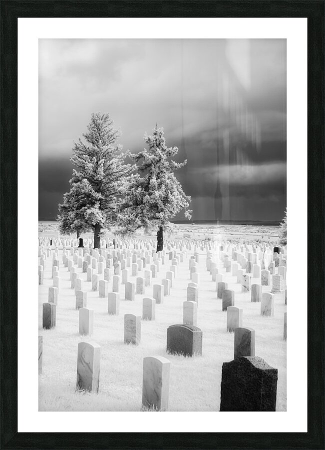 Guardians of Valor Picture Frame print