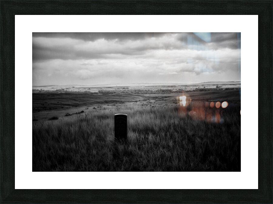 Alone Forever Picture Frame print