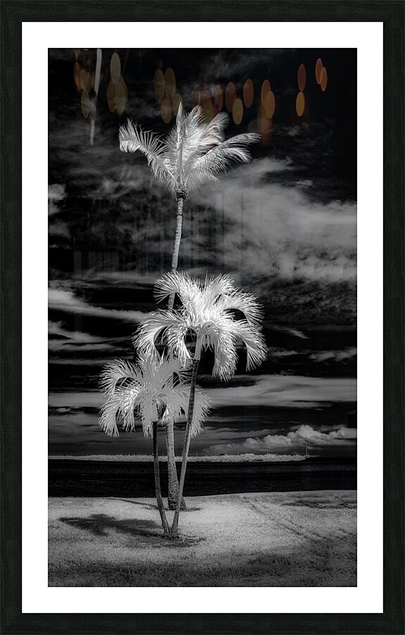 Texture of the Tropics Picture Frame print