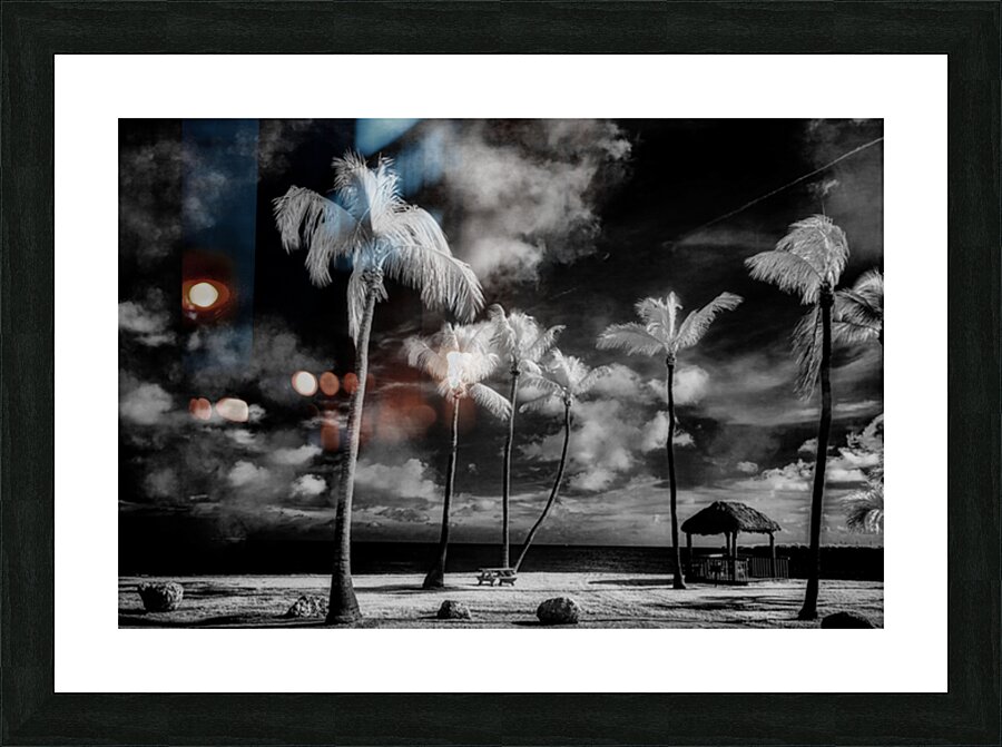 Tiki Picnic Impression et Cadre photo