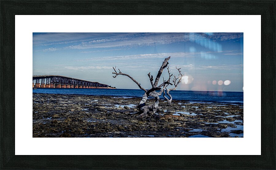Capturing Serenity: The Tale of Hey Key - A Scenic Journey with Nature Picture Frame print