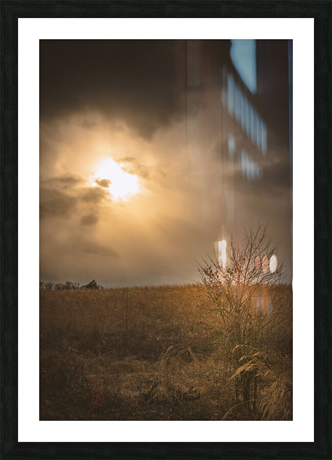 Golden Light Revelation Picture Frame print