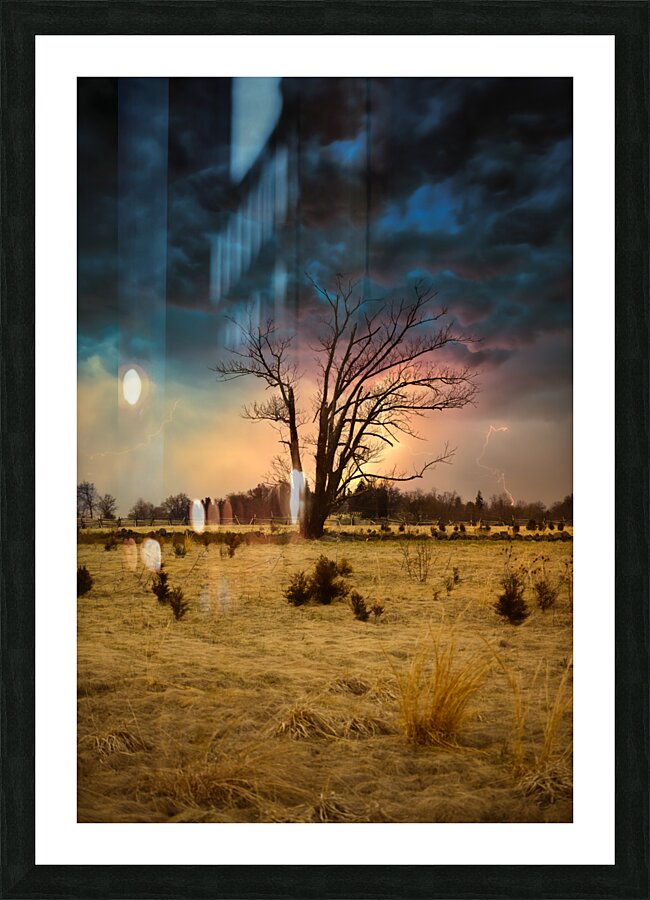 Stormy Solitude Picture Frame print