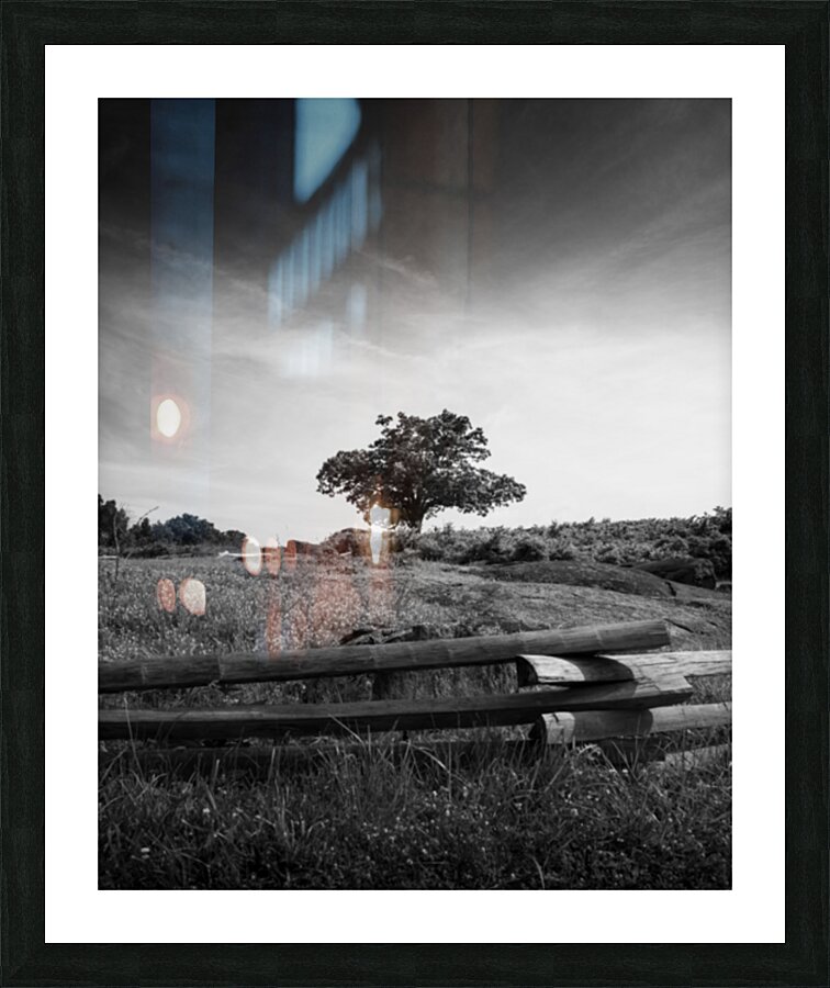 Capturing History: The Iconic Silhouette of the Devils Den Tree in Gettysburg Picture Frame print
