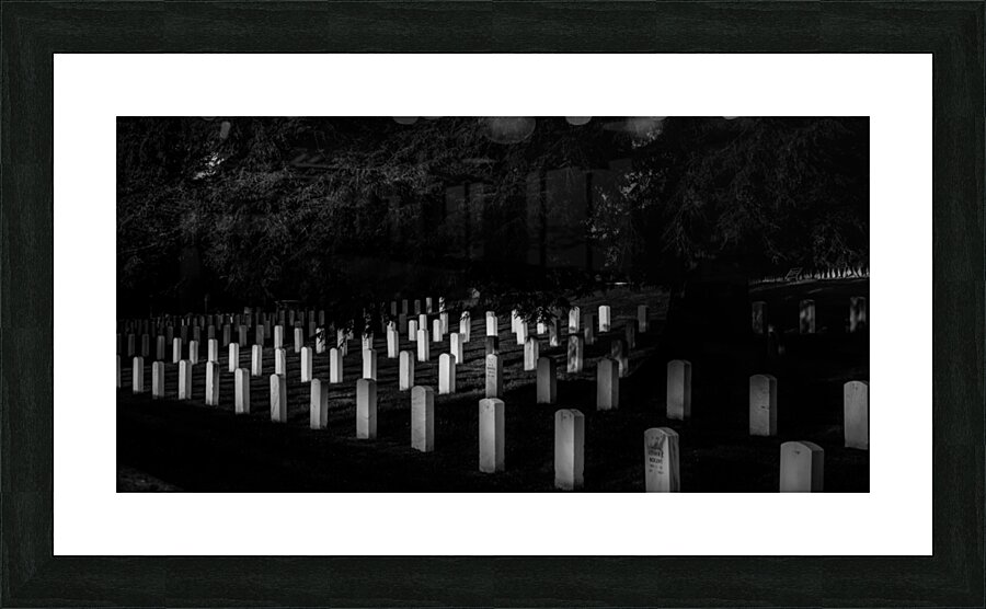 Silent Solace: Gettysburg National Cemetery Picture Frame print