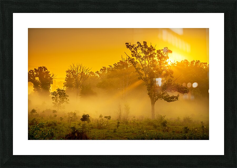 Misty Morning Glow: Dawn in Gettysburg Picture Frame print