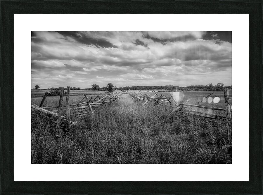 Pastoral Passage: Overgrown farm lane in Gettysburg Picture Frame print