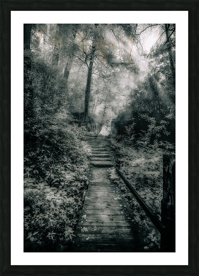 Enchanted Path: A Rain-Kissed Journey in Natural Bridge State Park Picture Frame print