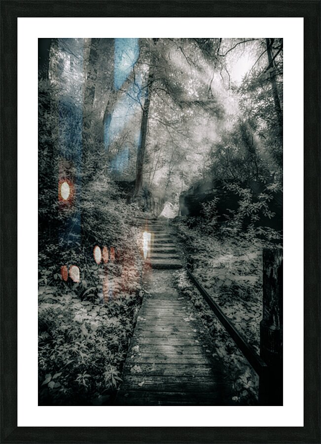 Enchanted Path: A Rain-Kissed Journey in Natural Bridge State Park Picture Frame print