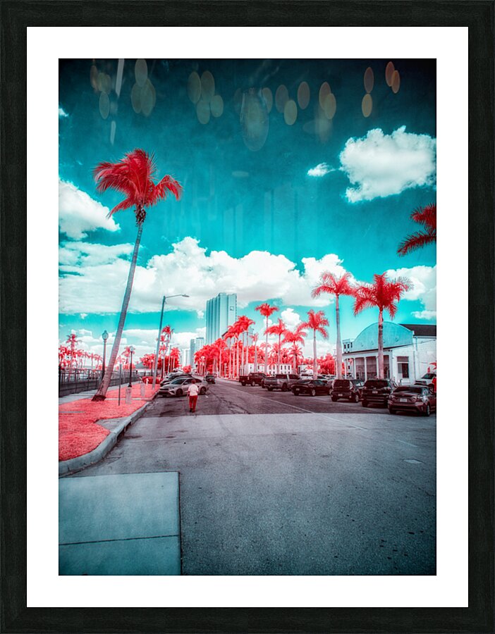 Urban Mirage: Fort Myers Street in Infrared Splendor Picture Frame print