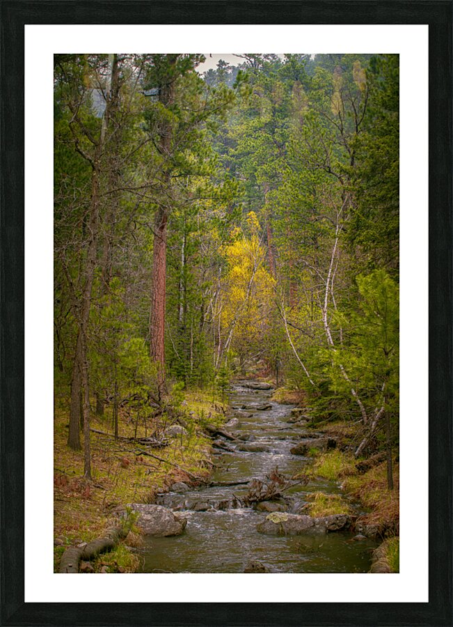Autumnal Glow: Exploring Grace Coolidge Creeks Vibrant Palette  Picture Frame print