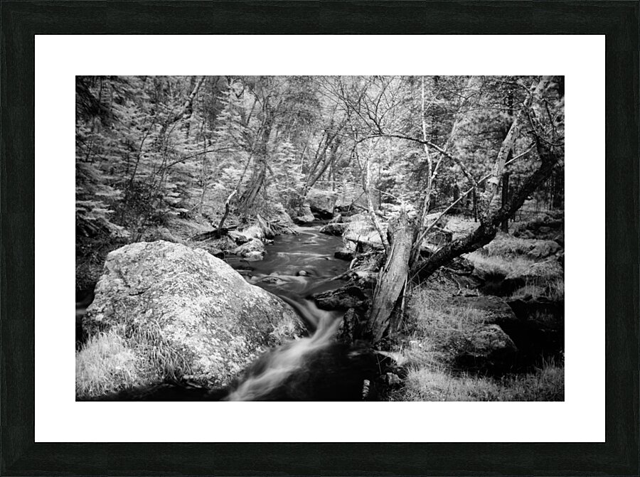 Monochromatic Serenity: Exploring Grace Coolidge Creek in Custer Impression et Cadre photo