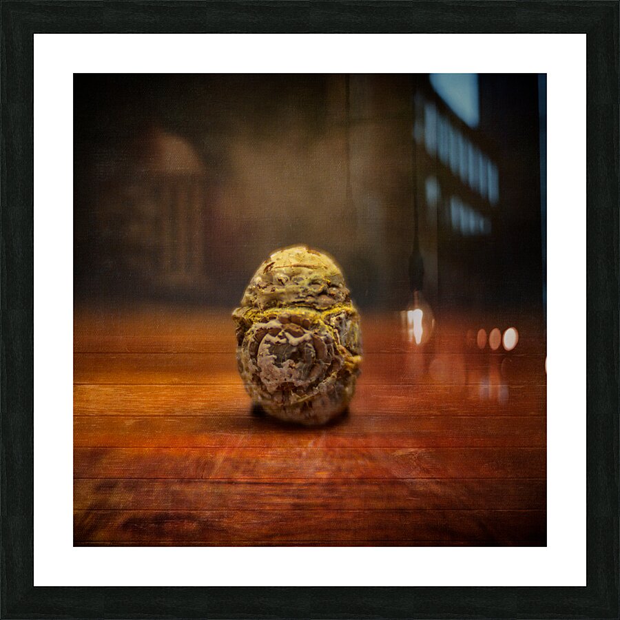 Natures Imprint: Egg-shaped Rock with Weathered Elegance Picture Frame print