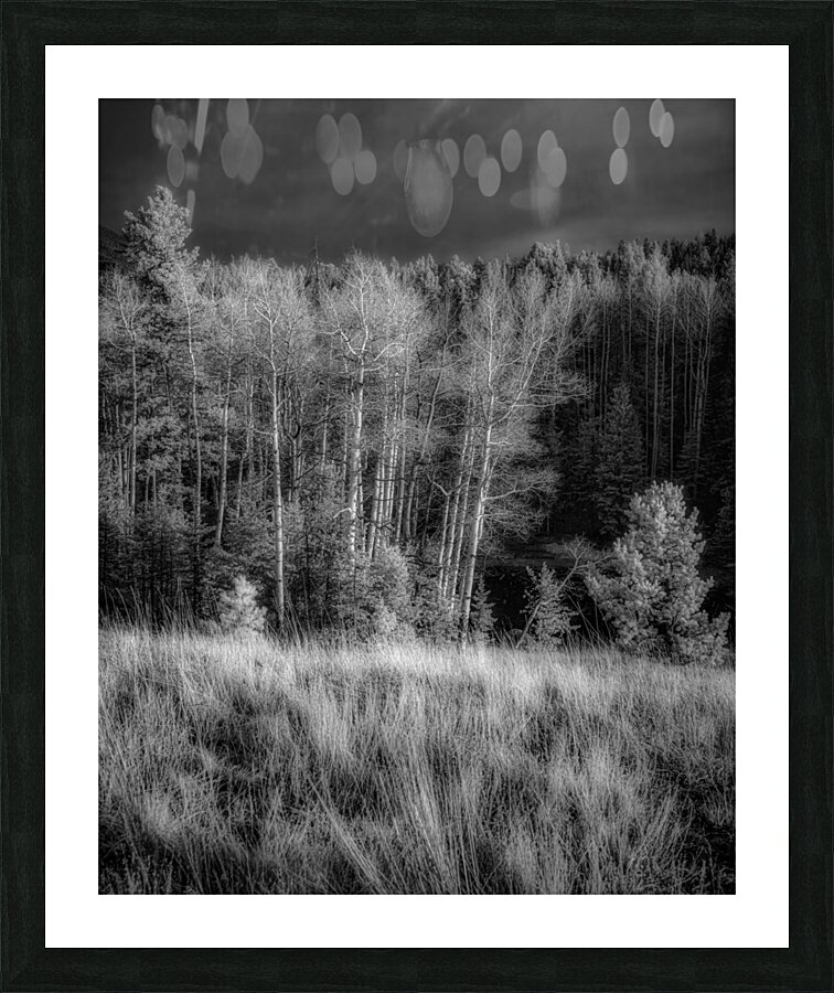Mueller Aspen Series: Twilight Whispers Picture Frame print