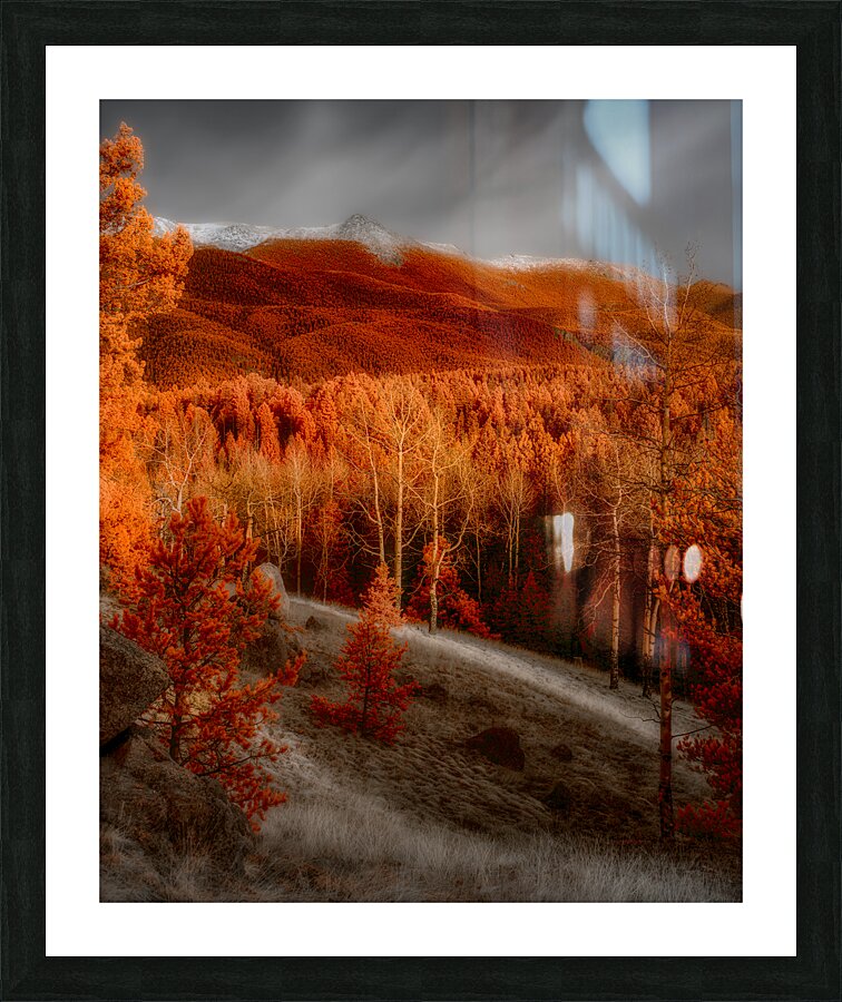 Mueller Aspen Series: Autumns Palette Picture Frame print