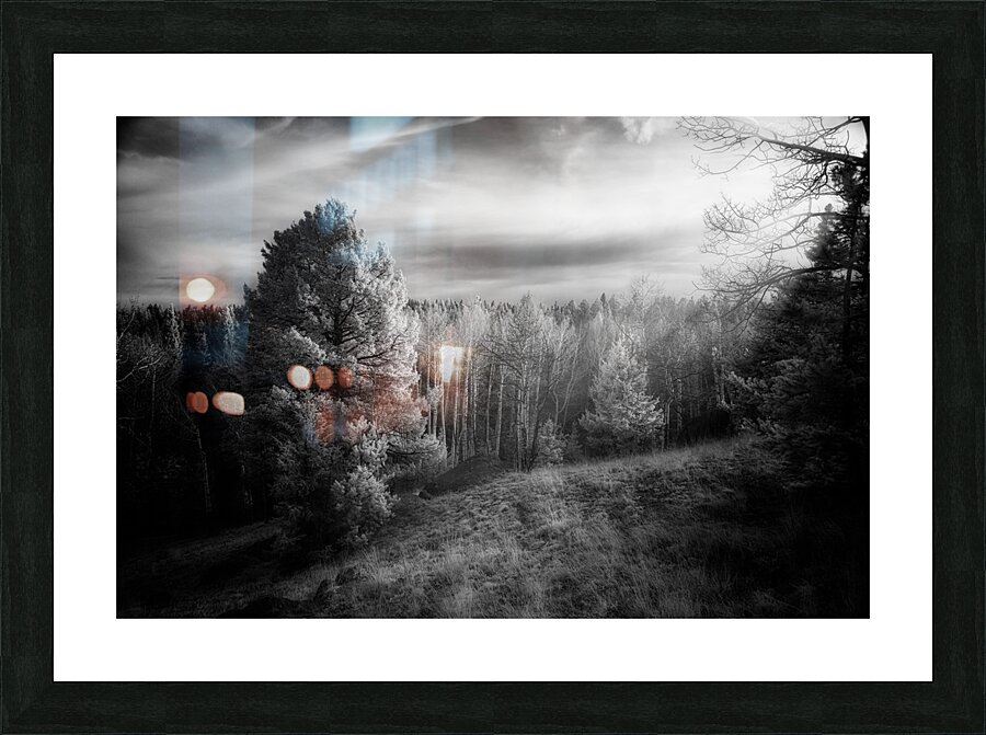 Mueller Aspen Series: Natures Finale Picture Frame print