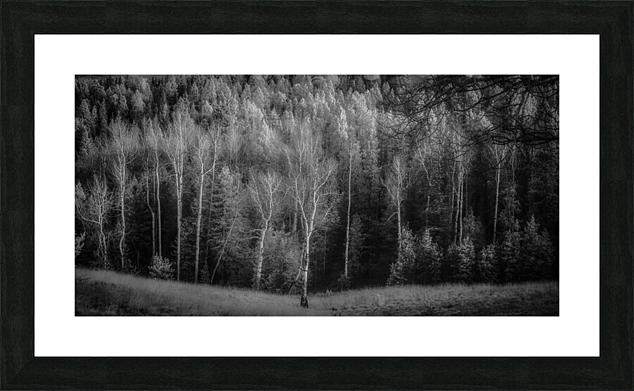 Mueller Aspen Series: Lighted Aspen Picture Frame print