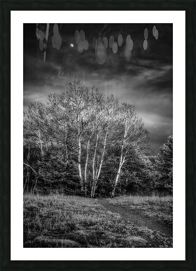 Mueller Aspen Series: Aspen Moon Picture Frame print