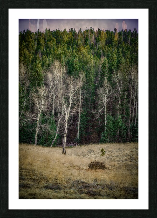 Mueller Aspen Series: Twilight Whispers Picture Frame print