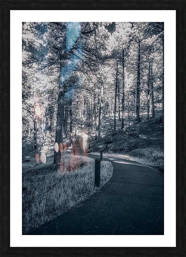 Mount Rushmore: Path Below the Monument in Infrared Magic Impression et Cadre photo