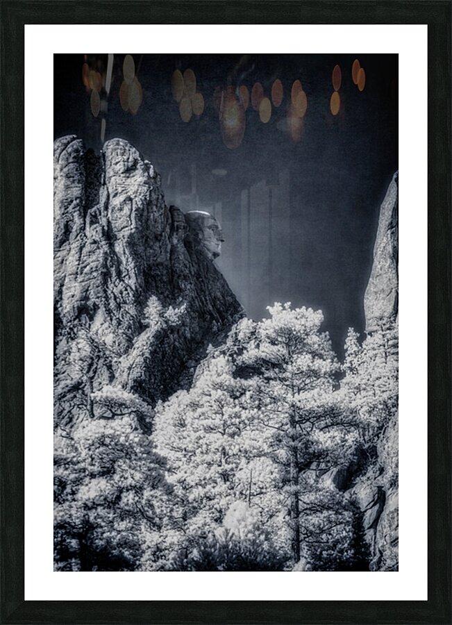 Washingtons Profile in Time Picture Frame print