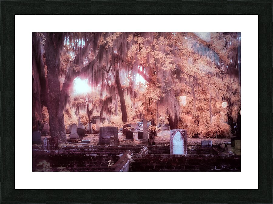 Springtime Serenity: A Moody Sunset at Oak Grove Cemetery Picture Frame print
