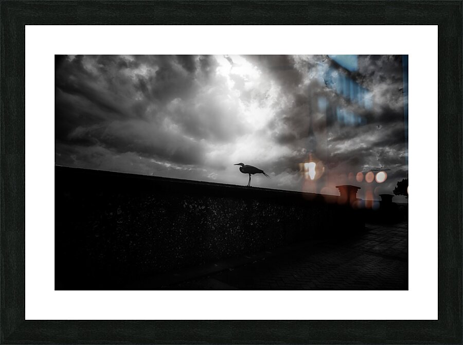 Rainy Day Stroll: Capturing Serenity with a Silhouetted Bird in Saint Marys Georgia Picture Frame print