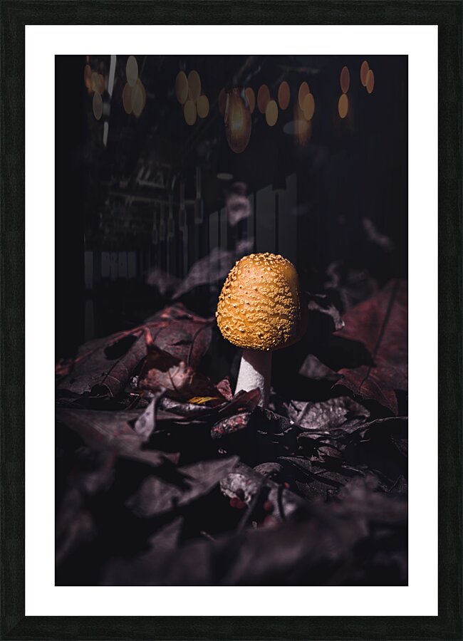 Mystical Fungi: Helmet among the Dead Leaves Picture Frame print
