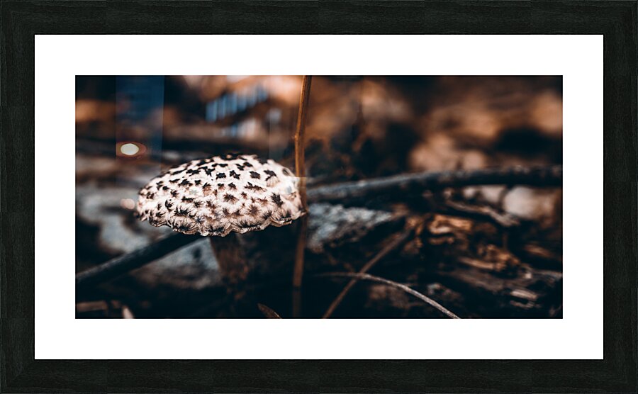 Mystical Fungi: Speckled Shroom Picture Frame print