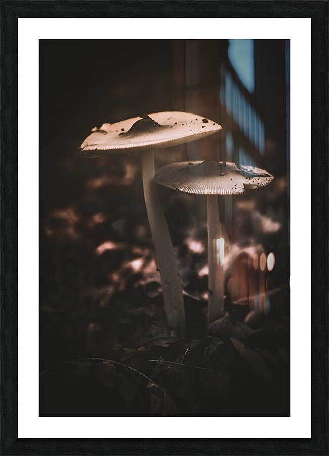 Mystical Fungi: Big Brother Shroom in the Woodland Realm Picture Frame print