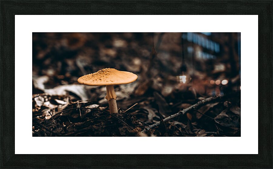 Mystical Fungi: Gloomy Shroom Picture Frame print