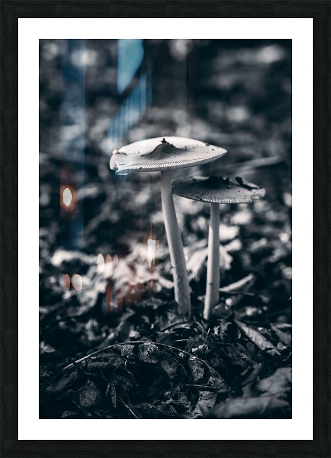Mystical Fungi: Blue Shroom in the Enchanted Woods Picture Frame print