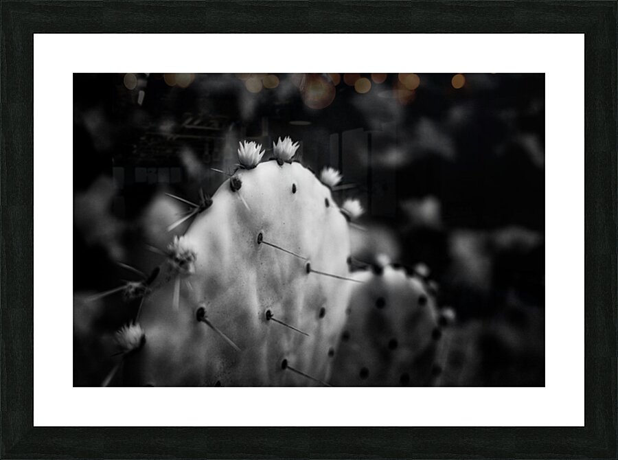 Ink and Thorn: Capturing the Essence of Texas Cacti Picture Frame print