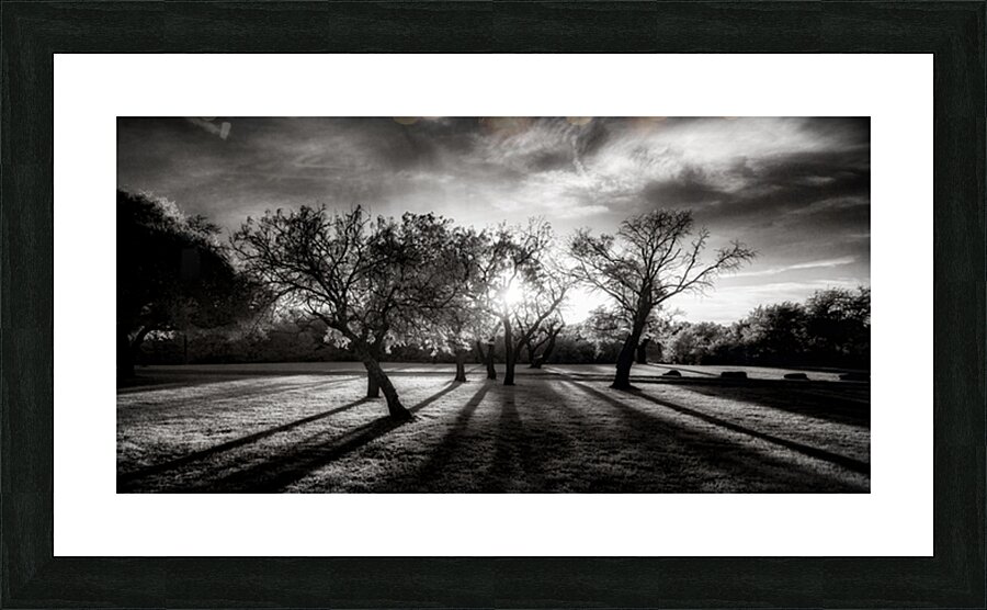Twilight Stroll: Capturing Long Texas Shadows Picture Frame print