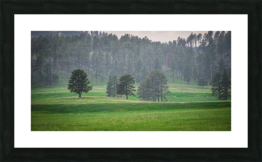 Serene Countryside Dreams Picture Frame print