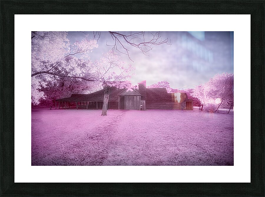 Timeless Charm: Exploring the Serene Old Wooden Barn Picture Frame print