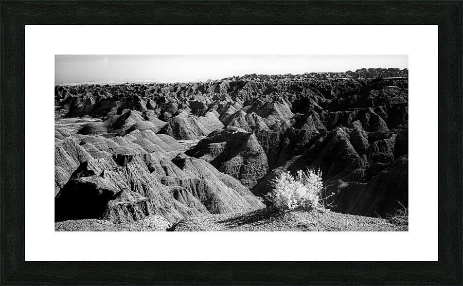 Shadows of the Earth: Tuft on the Edge Picture Frame print