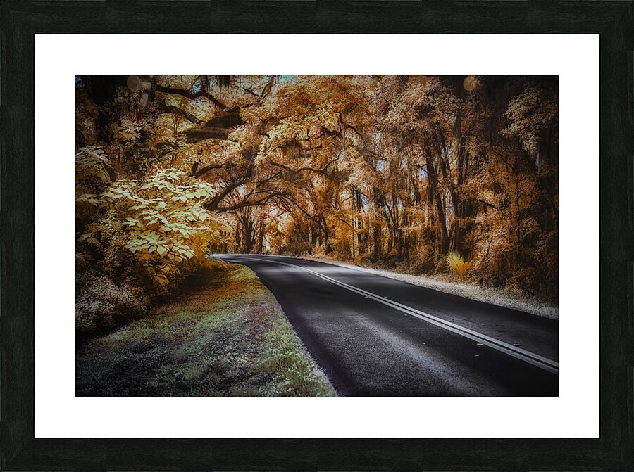 Ocala Secret: Infrared Curve Picture Frame print