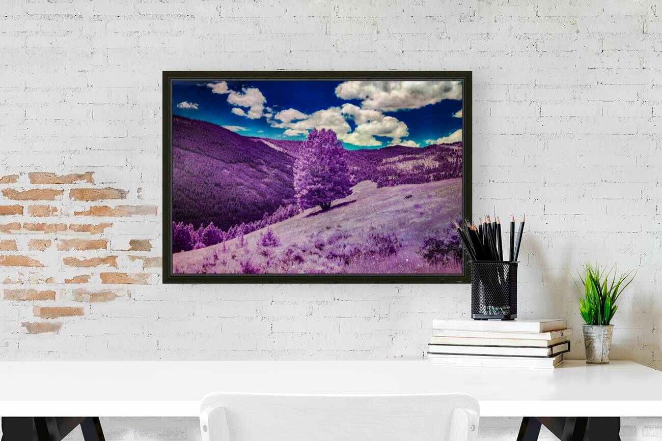 Enchanted Purple Haven: Marysville Montana Reproduction