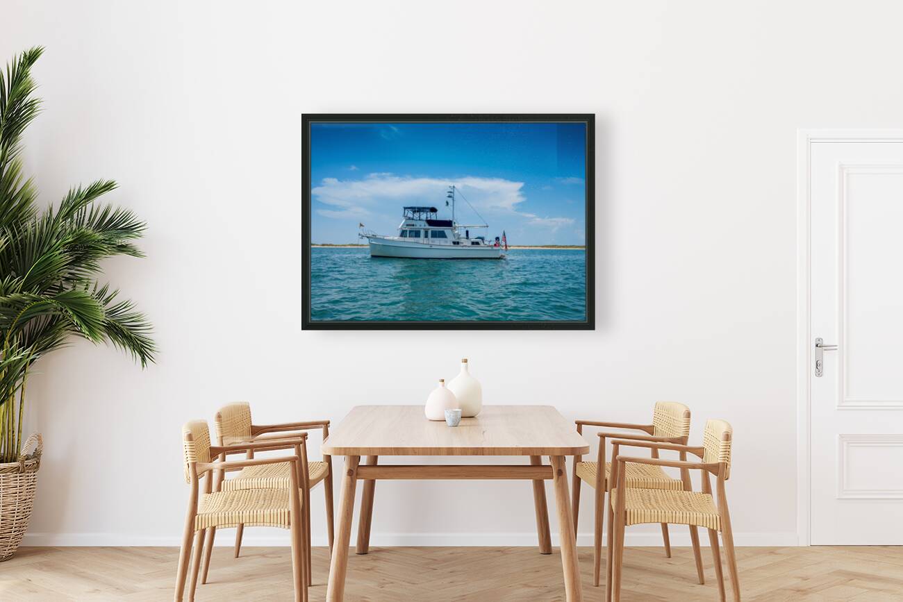 Shangri-La -9 Reproduction