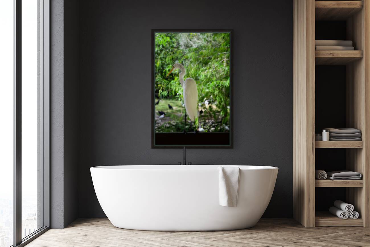 Winged Wonders: A Birdwatchers Delight in Florida Reproduction