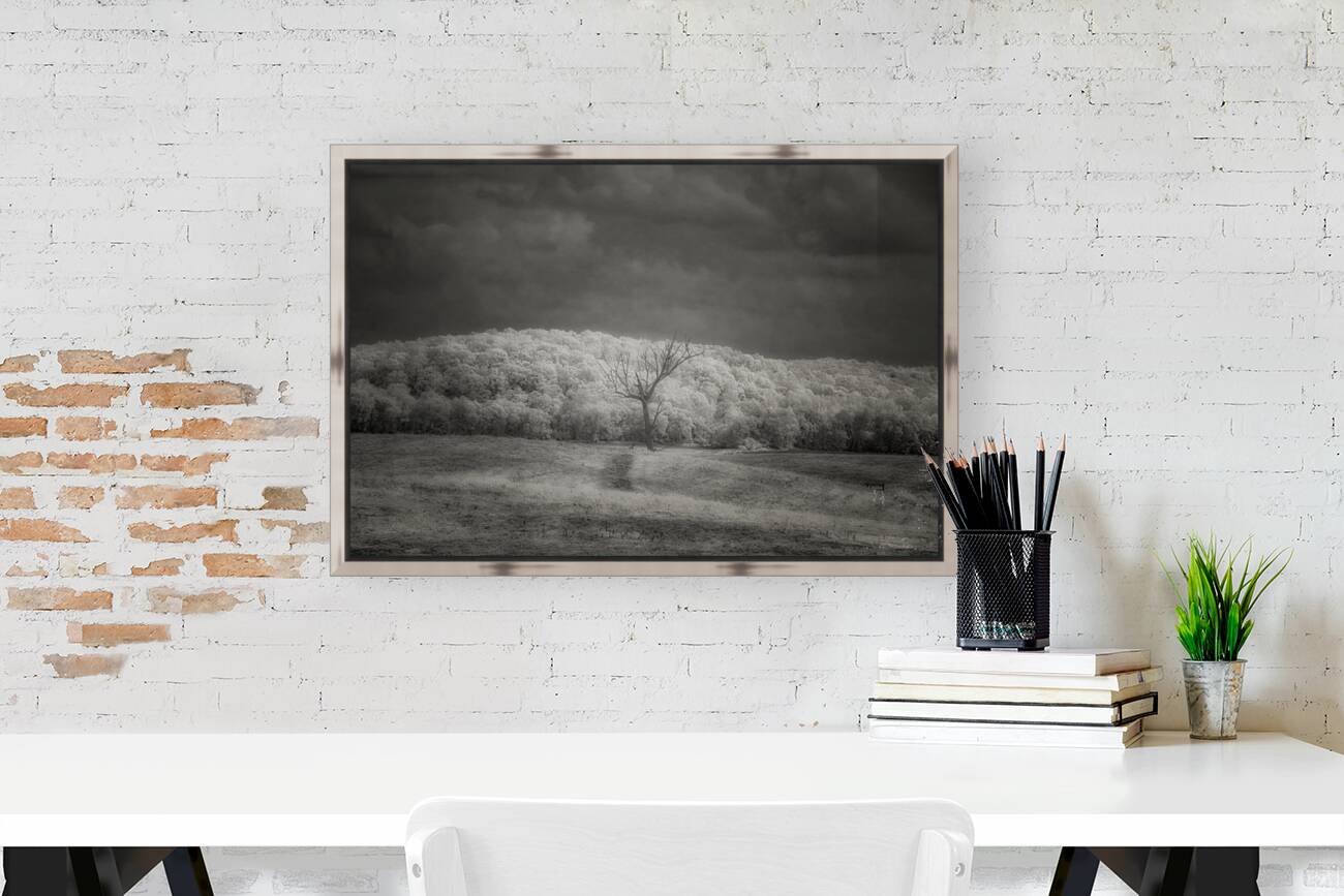 Luminous Isolation Reproduction