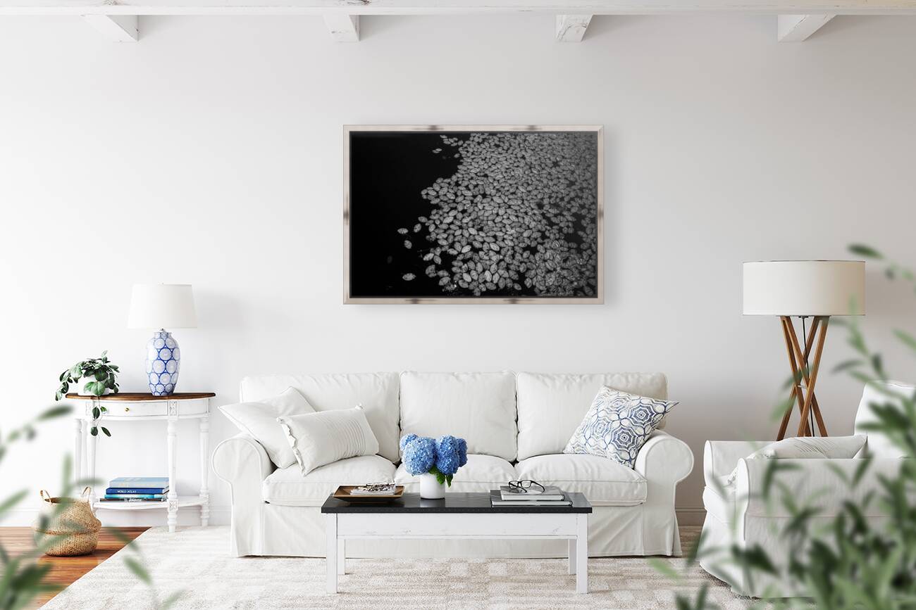 Lily Pad Dance Reproduction