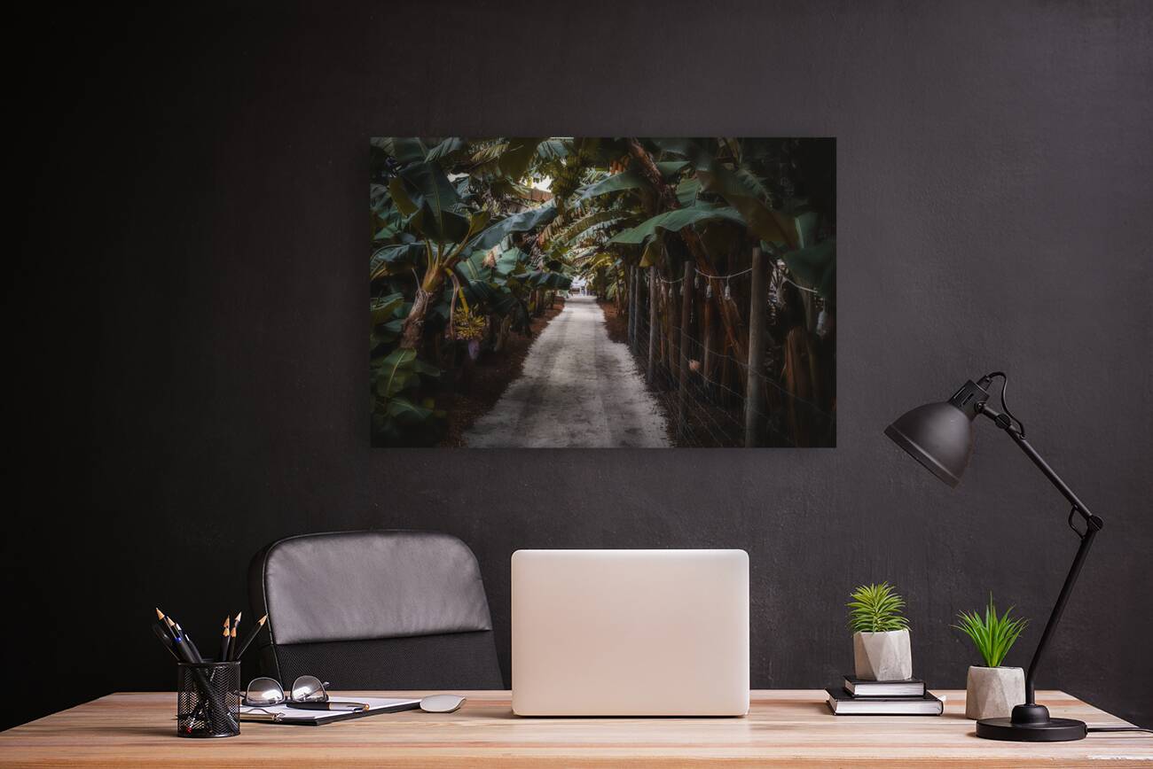 Banana Canopy Secrets Reproduction